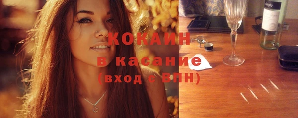 индика Михайловка