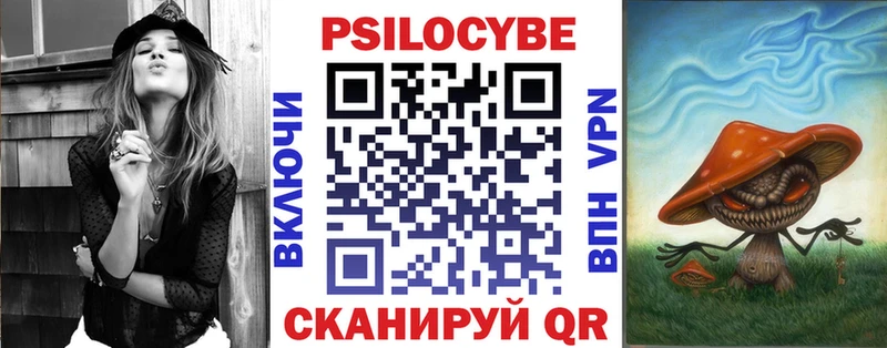 где купить наркотик Старый Крым Псилоцибиновые грибы Psilocybe